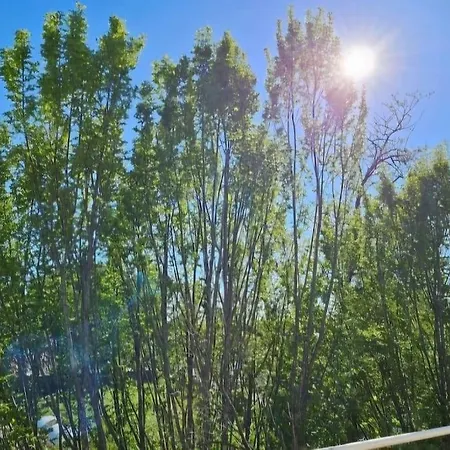 Solaire Duplex Avec Terrasse En Bois *