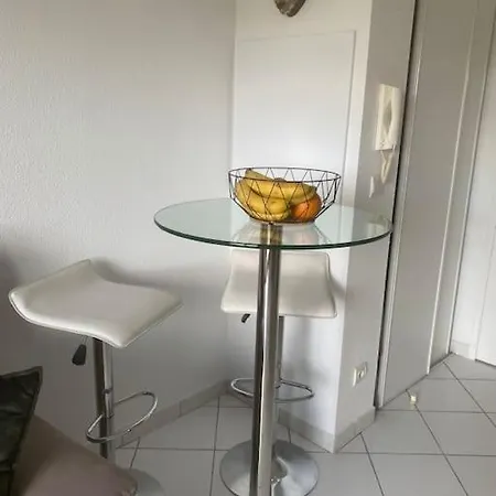 Solaire Duplex Avec Terrasse En Bois Pessac