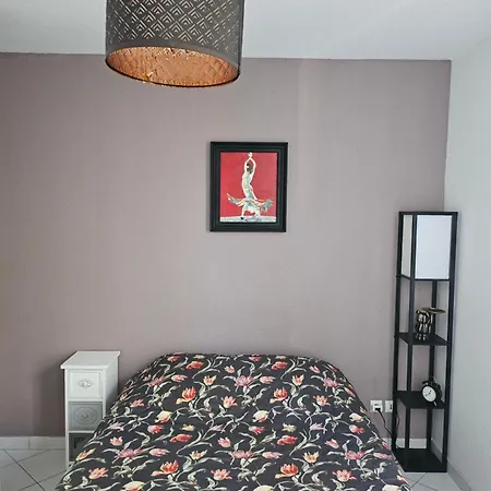 Solaire Duplex Avec Terrasse En Bois Pessac