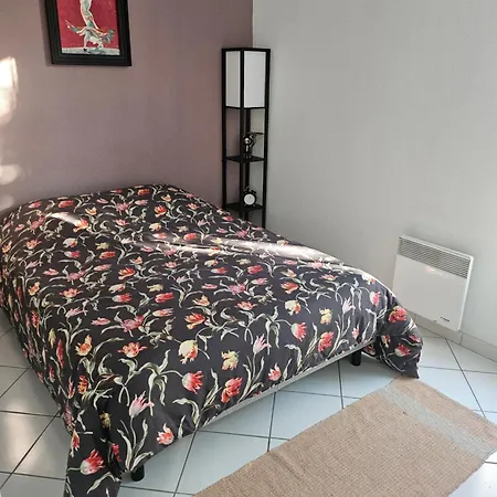 Solaire Duplex Avec Terrasse En Bois * Pessac